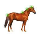 725001025_zoom_5_web.webp
