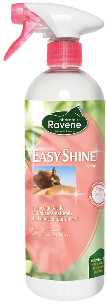 [718008750] Easy Shine Spray 750ml - RAVENE